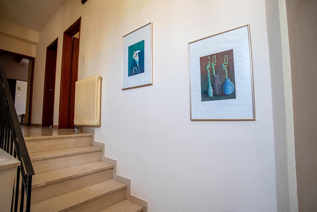 Koukonas Hotel Galaxidi Ngoại thất bức ảnh
