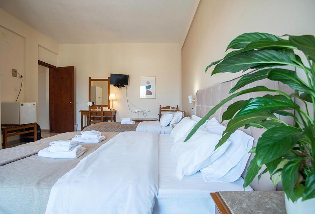 Koukonas Hotel Galaxidi Ngoại thất bức ảnh
